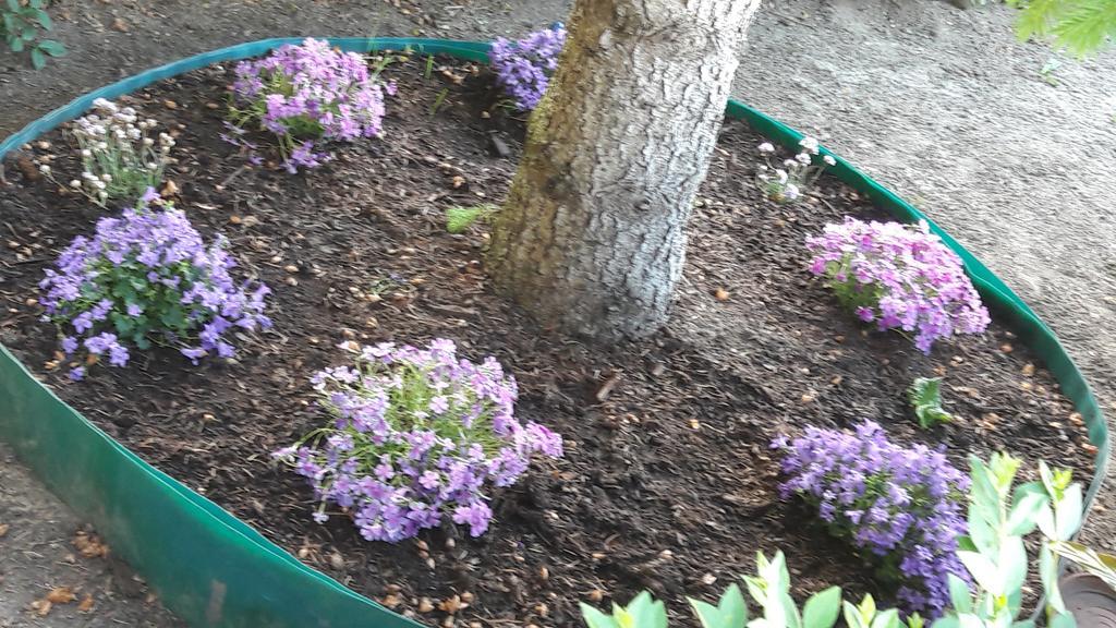 Szaloky Apartmanhaz Gyenesdiás Exterior foto